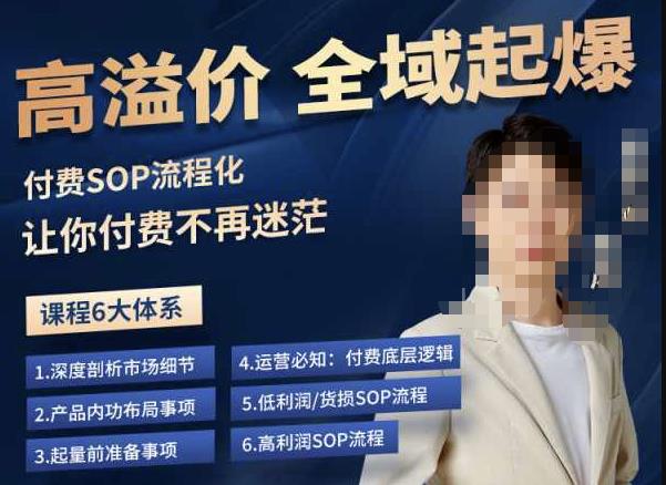 逸风-拼多多高溢价全域起爆，6大课程体系，付费玩法全套实操网创吧-网创项目资源站-副业项目-创业项目-搞钱项目网创吧
