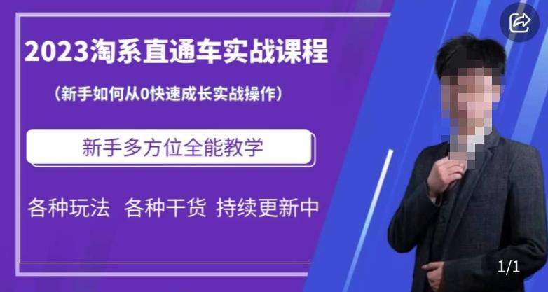 2023淘系直通车保姆式运营讲解,新手如何从0快速成长实战操作,新手多方位全能教学网创吧-网创项目资源站-副业项目-创业项目-搞钱项目网创吧
