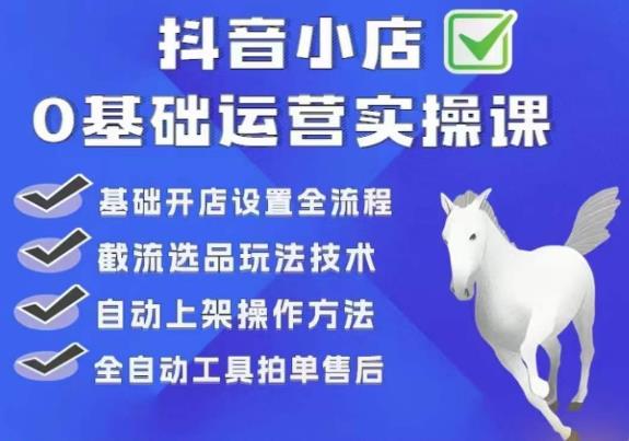 白马电商·0基础抖店运营实操课,基础开店设置全流程,截流选品玩法技术网创吧-网创项目资源站-副业项目-创业项目-搞钱项目网创吧
