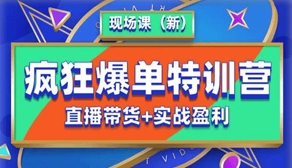 抖音短视频疯狂爆单特训营现场课(新)直播带货+实战案例网创吧-网创项目资源站-副业项目-创业项目-搞钱项目网创吧