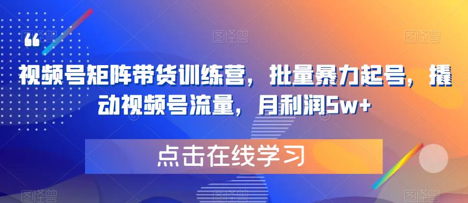 视频号矩阵带货训练营,批量暴力起号,撬动视频号流量,月利润5w+网创吧-网创项目资源站-副业项目-创业项目-搞钱项目网创吧
