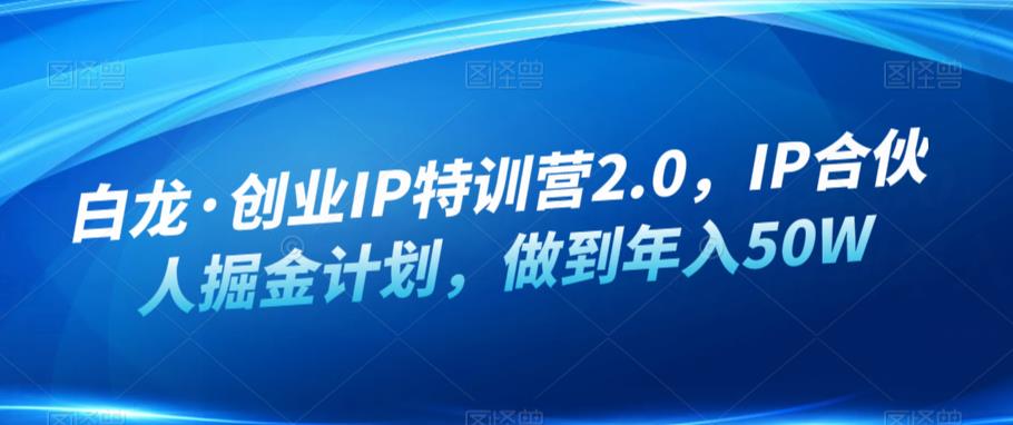 白龙·创业IP特训营2.0,IP合伙人掘金计划,做到年入50W网创吧-网创项目资源站-副业项目-创业项目-搞钱项目网创吧