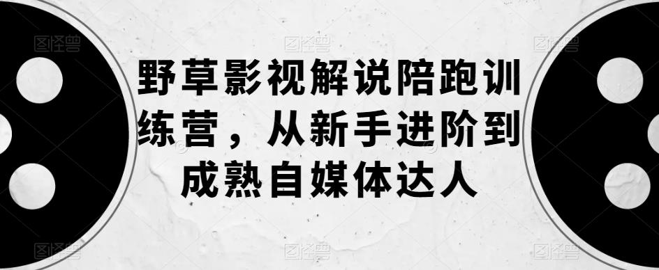 野草影视解说陪跑训练营,从新手进阶到成熟自媒体达人网创吧-网创项目资源站-副业项目-创业项目-搞钱项目网创吧