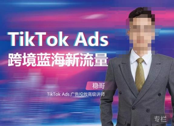 稳哥·如何投出高ROI的TikTok广告，开拓独立站卖家流量新蓝海网创吧-网创项目资源站-副业项目-创业项目-搞钱项目网创吧