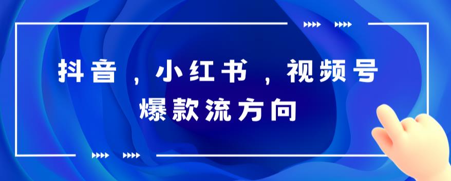 抖音，小红书，视频号爆款流视频制作，简单制作掌握流量密码网创吧-网创项目资源站-副业项目-创业项目-搞钱项目网创吧