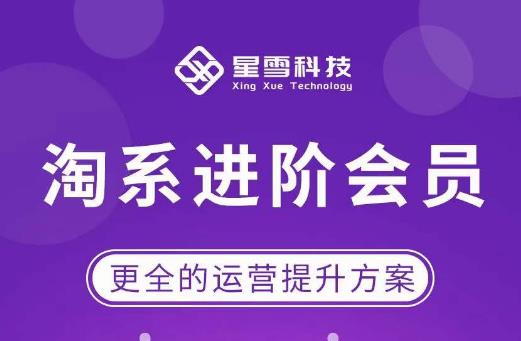 星雪·淘系进阶课程,快速提升突破技能流量瓶颈必备(更新2023年5月)网创吧-网创项目资源站-副业项目-创业项目-搞钱项目网创吧