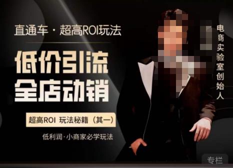 电商冰可乐·直通车·《低价引流·全店动销》,直通车·超高ROI玩法(其一)全店动销必学玩法网创吧-网创项目资源站-副业项目-创业项目-搞钱项目网创吧