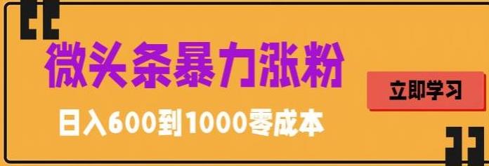 微头条暴力涨粉技巧搬运文案就能涨几万粉丝,简单0成本,日赚600【揭秘】网创吧-网创项目资源站-副业项目-创业项目-搞钱项目网创吧