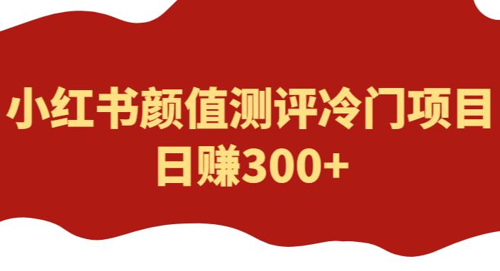 外面1980的项目,小红书颜值测评冷门项目,日赚300+【揭秘】网创吧-网创项目资源站-副业项目-创业项目-搞钱项目网创吧