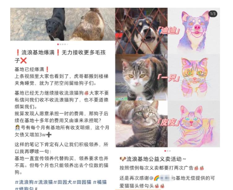 小红书蓝海类赛道:小动物打赏与购买变现副业项目,一条龙玩法分享给你!网创吧-网创项目资源站-副业项目-创业项目-搞钱项目网创吧