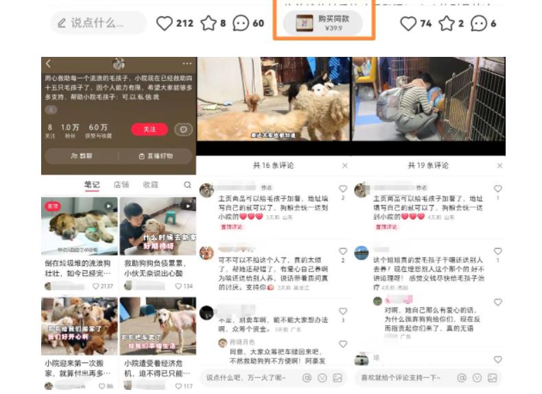 小红书蓝海类赛道:小动物打赏与购买变现副业项目,一条龙玩法分享给你!网创吧-网创项目资源站-副业项目-创业项目-搞钱项目网创吧
