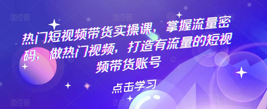 热门短视频带货实操课,掌握流量密码,做热门视频,打造有流量的短视频带货账号网创吧-网创项目资源站-副业项目-创业项目-搞钱项目网创吧