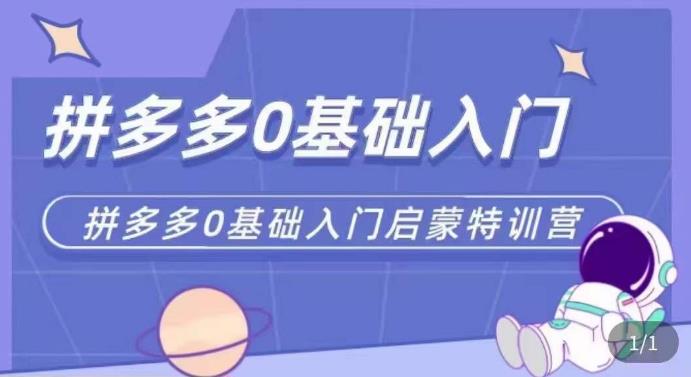 拼多多运营0-1实操特训营,拼多多0基础入门,从基础到进阶的可实操玩法网创吧-网创项目资源站-副业项目-创业项目-搞钱项目网创吧