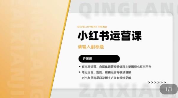 许筐筺·小红书运营课,笔记运营、规则、店铺运营等模块讲解,学会自己独立运营小红书账号网创吧-网创项目资源站-副业项目-创业项目-搞钱项目网创吧