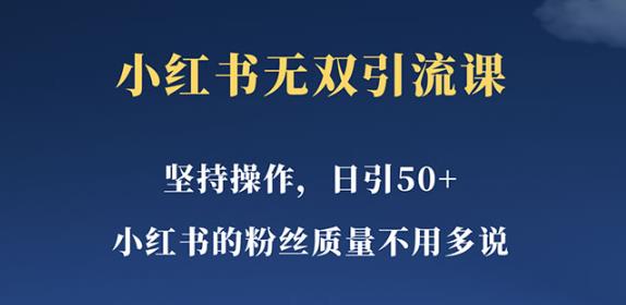小红书无双课一天引50+女粉,不用做视频发视频,小白也很容易上手拿到结果【仅揭秘】网创吧-网创项目资源站-副业项目-创业项目-搞钱项目网创吧