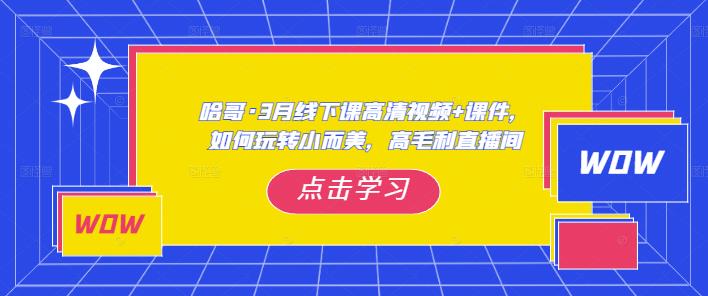 哈哥·3月线下实操课高清视频+课件,如何玩转小而美,高毛利直播间网创吧-网创项目资源站-副业项目-创业项目-搞钱项目网创吧