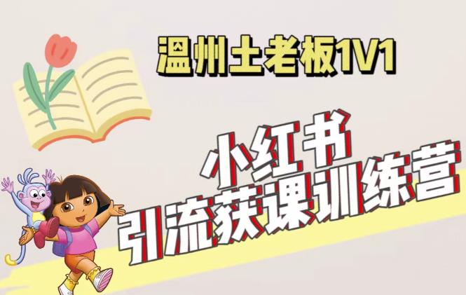 小红书1对1引流获客训练营:账号、内容、引流、成交(价值3999元)网创吧-网创项目资源站-副业项目-创业项目-搞钱项目网创吧