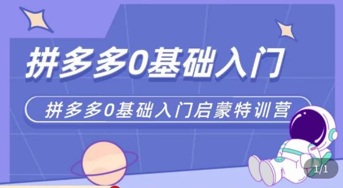 六一电商·拼多多运营0-1实操特训营,拼多多从基础到进阶的可实操玩法网创吧-网创项目资源站-副业项目-创业项目-搞钱项目网创吧