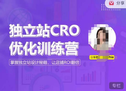 独立站CRO优化训练营,掌握独立站设计秘籍,打造高转化的独立站,让店铺ROI翻倍网创吧-网创项目资源站-副业项目-创业项目-搞钱项目网创吧
