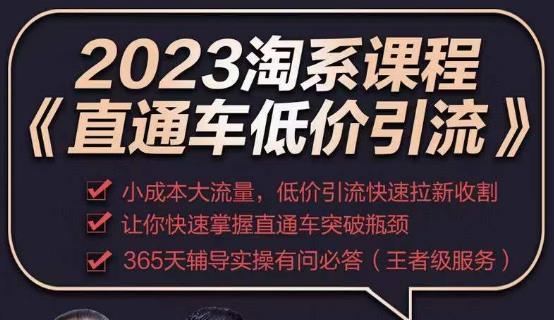 2023直通车低价引流玩法课程,小成本大流量,低价引流快速拉新收割,让你快速掌握直通车突破瓶颈网创吧-网创项目资源站-副业项目-创业项目-搞钱项目网创吧
