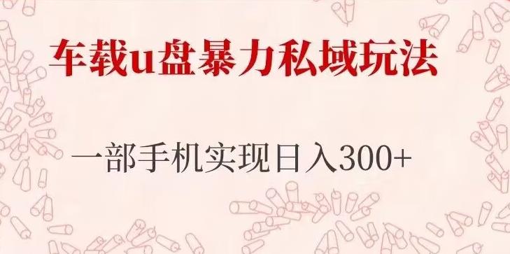 车载u盘暴力私域玩法,长期项目,仅需一部手机实现日入300+网创吧-网创项目资源站-副业项目-创业项目-搞钱项目网创吧
