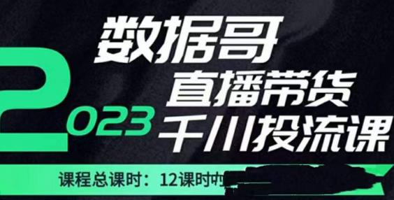 数据哥2023直播电商巨量千川付费投流实操课,快速掌握直播带货运营投放策略网创吧-网创项目资源站-副业项目-创业项目-搞钱项目网创吧