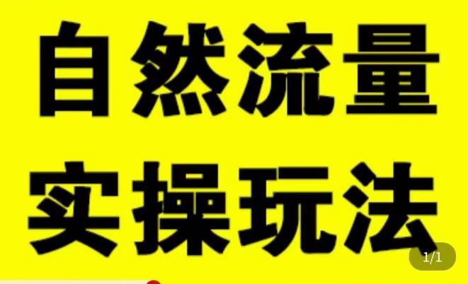 拼多多自然流量天花板,拼多多自然流的实操玩法,自然流量是怎么来的,如何开车带来自然流等知识网创吧-网创项目资源站-副业项目-创业项目-搞钱项目网创吧