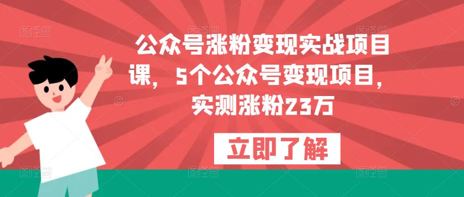 公众号涨粉变现实战项目课,5个公众号变现项目,实测涨粉23万网创吧-网创项目资源站-副业项目-创业项目-搞钱项目网创吧