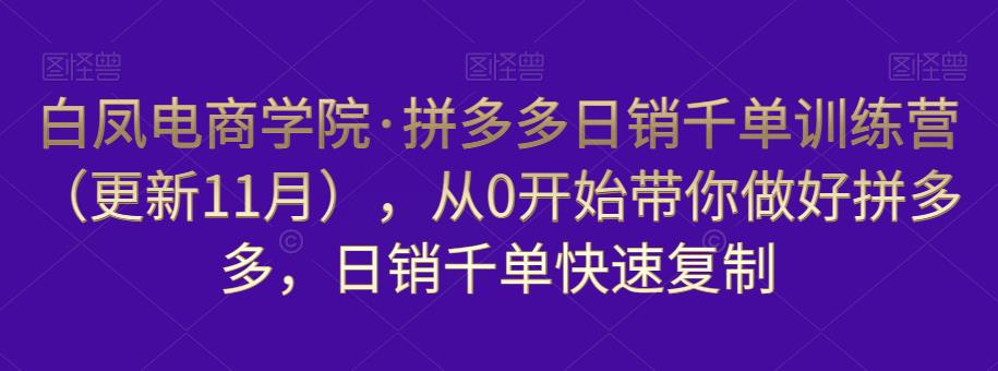 白凤电商学院·拼多多日销千单训练营,从0开始带你做好拼多多,日销千单快速复制(更新知2023年3月)网创吧-网创项目资源站-副业项目-创业项目-搞钱项目网创吧
