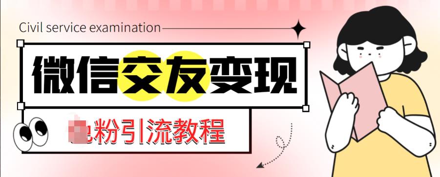 微信交友变现项目,吸引全网LSP男粉精准变现,小白也能轻松上手,日入500+网创吧-网创项目资源站-副业项目-创业项目-搞钱项目网创吧