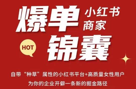 无畏·小红书商家爆单锦囊,掌握小红书各大规则,快速精准抢占行业和市场网创吧-网创项目资源站-副业项目-创业项目-搞钱项目网创吧