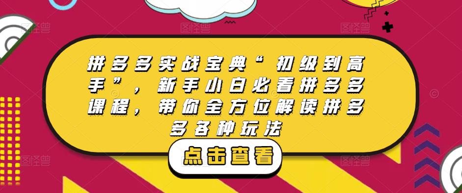 拼多多实战宝典“初级到高手”,新手小白必看拼多多课程,带你全方位解读拼多多各种玩法网创吧-网创项目资源站-副业项目-创业项目-搞钱项目网创吧