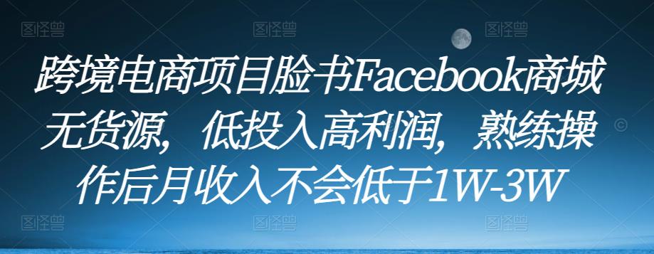 跨境电商项目脸书Facebook商城无货源,低投入高利润,熟练操作后月收入不会低于1W-3W网创吧-网创项目资源站-副业项目-创业项目-搞钱项目网创吧