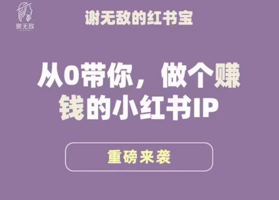 谢无敌·小红书运营大宝典,从0带你做个赚钱的小红书IP网创吧-网创项目资源站-副业项目-创业项目-搞钱项目网创吧