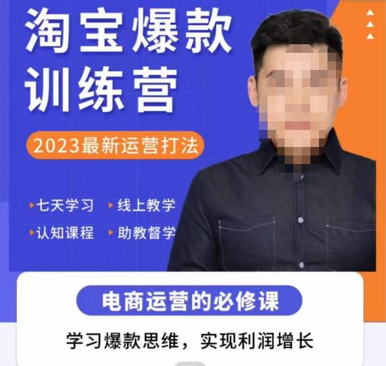 爱上黄昏·淘宝爆款训练营,2023最新运营打法,学习爆款思维,实现利润增长网创吧-网创项目资源站-副业项目-创业项目-搞钱项目网创吧