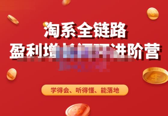 淘系全链路盈利增长闭环进阶营,融合全店动销,学得会、听得懂、能落地!网创吧-网创项目资源站-副业项目-创业项目-搞钱项目网创吧