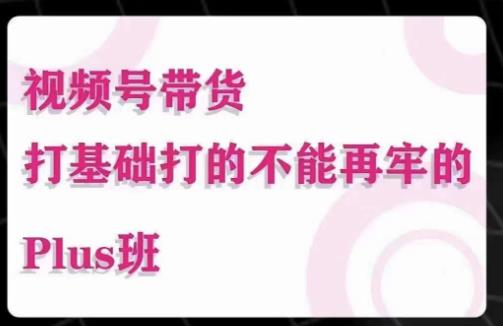 大播汇·视频号带货Puls班,视频号底层逻辑,起号自然流鱼塘等玩法网创吧-网创项目资源站-副业项目-创业项目-搞钱项目网创吧