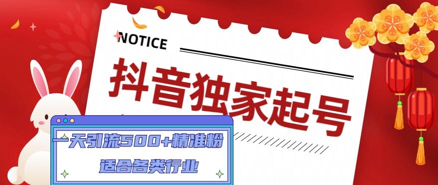 抖音独家起号,一天引流500+精准粉,适合各类行业(9节视频课)网创吧-网创项目资源站-副业项目-创业项目-搞钱项目网创吧