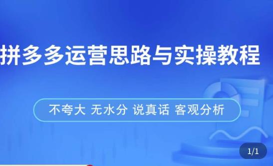 拼多多店铺运营思路与实操教程,快速学会拼多多开店和运营,少踩坑,多盈利网创吧-网创项目资源站-副业项目-创业项目-搞钱项目网创吧