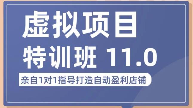 陆明明·虚拟项目特训班(10.0+11.0),0成本获取虚拟素材,0基础打造自动盈利店铺网创吧-网创项目资源站-副业项目-创业项目-搞钱项目网创吧