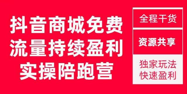 抖音商城搜索持续盈利陪跑成长营,抖音商城搜索从0-1、从1到10的全面解决方案网创吧-网创项目资源站-副业项目-创业项目-搞钱项目网创吧