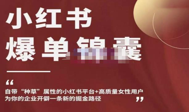 小红书爆单锦囊,自带种草属性+高质量女性用户,为你的企业开辟一条新的掘金路径网创吧-网创项目资源站-副业项目-创业项目-搞钱项目网创吧