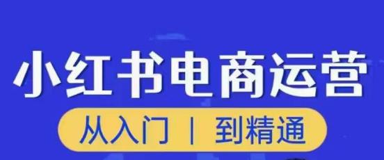 顽石小红书电商高阶运营课程,从入门到精通,玩法流程持续更新网创吧-网创项目资源站-副业项目-创业项目-搞钱项目网创吧