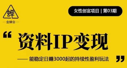资料IP变现,能稳定日赚3000起的持续性盈利玩法网创吧-网创项目资源站-副业项目-创业项目-搞钱项目网创吧