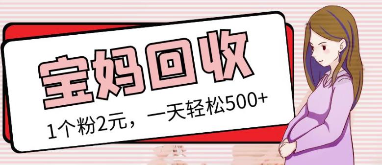 最新小红书母婴号宝妈粉回收项目,1个粉2元,一天轻松500+案例分享【粉丝包回收】网创吧-网创项目资源站-副业项目-创业项目-搞钱项目网创吧