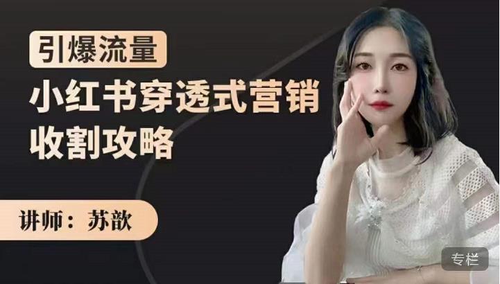 苏歆:小红书穿透式营销收割攻略,引爆流量,助你玩转小红书网创吧-网创项目资源站-副业项目-创业项目-搞钱项目网创吧