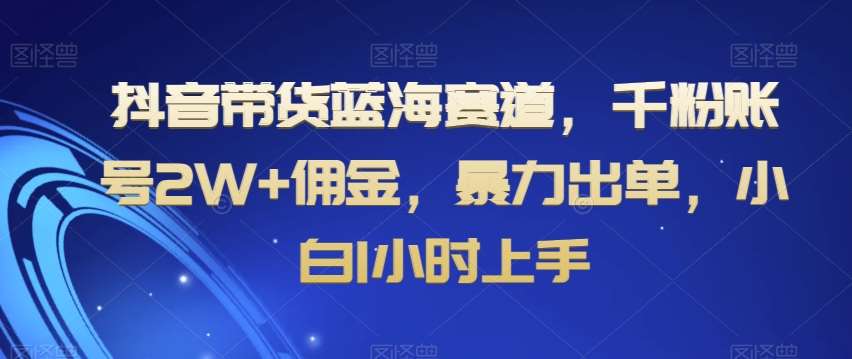 抖音带货蓝海赛道,千粉账号2W+佣金,暴力出单,小白1小时上手【揭秘】网创吧-网创项目资源站-副业项目-创业项目-搞钱项目网创吧