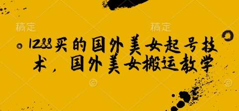 1288买的国外美女起号技术,国外美女搬运教学网创吧-网创项目资源站-副业项目-创业项目-搞钱项目网创吧