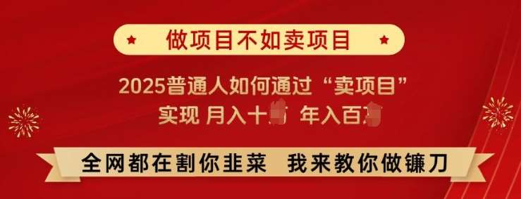 必看!做项目不如卖项目,2025普通人如何通过“卖项目”实现月入十个,年入百个【揭秘】网创吧-网创项目资源站-副业项目-创业项目-搞钱项目网创吧