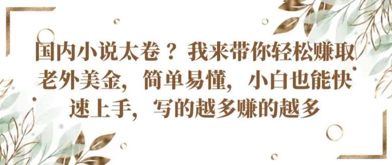 国内小说太卷 ?带你轻松赚取老外美金,简单易懂,小白也能快速上手,写的越多赚的越多【揭秘】网创吧-网创项目资源站-副业项目-创业项目-搞钱项目网创吧